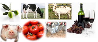 Ganadería y Agricultura Extremeña